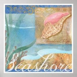 Persika Poster IV, ’Seashore with Tulip Snäcka’