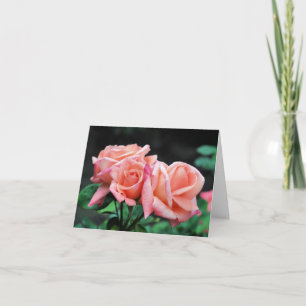 Persika Ros Trio Blommfotografering Anteckningskort