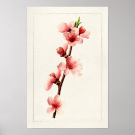 Persika Rosa Flowers Watercolor Paeing Poster