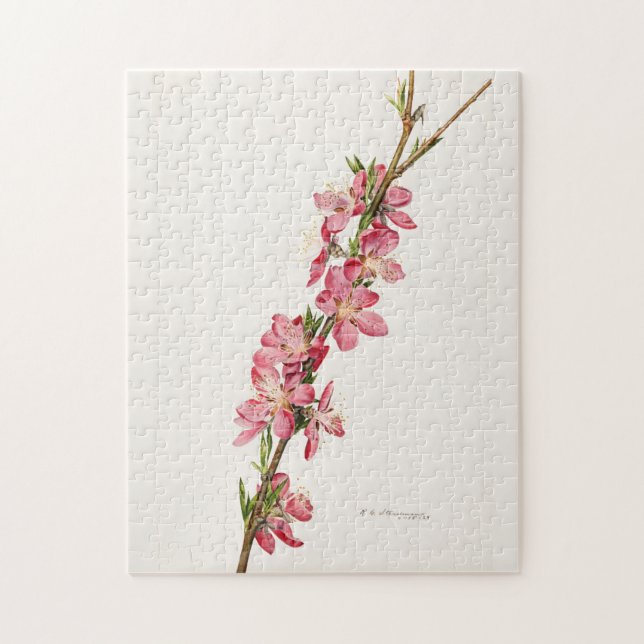 Persika Rosa Flowers Watercolor Paeing Pussel (Vertikal)