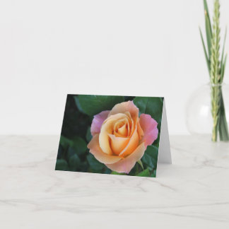 Persika rosa Notecard Kort
