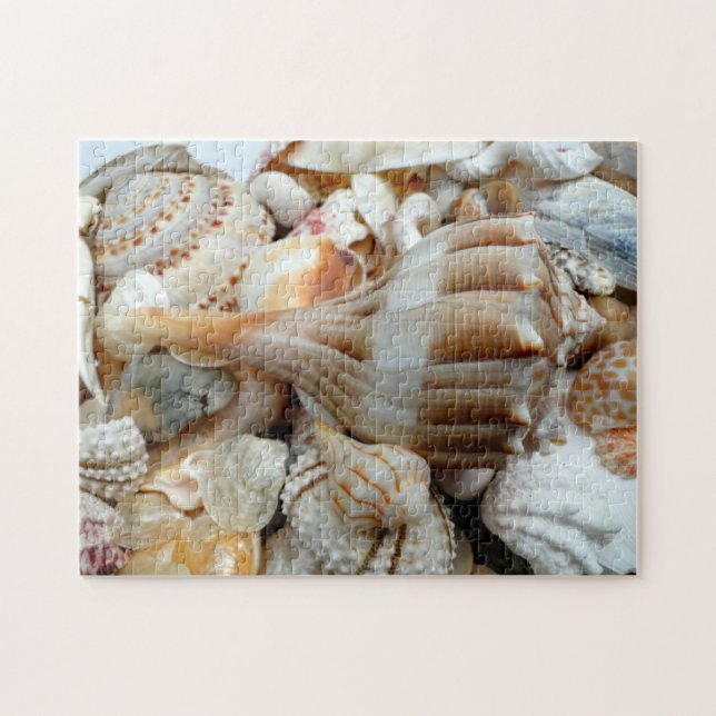 Persika Snäckor Blixt Whelk Puzzle Pussel (Horisontell)