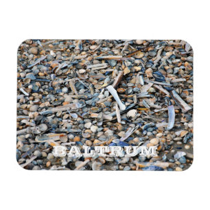 Persika, Snäckor, Driftwood, Baltrum Island Postca Magnet
