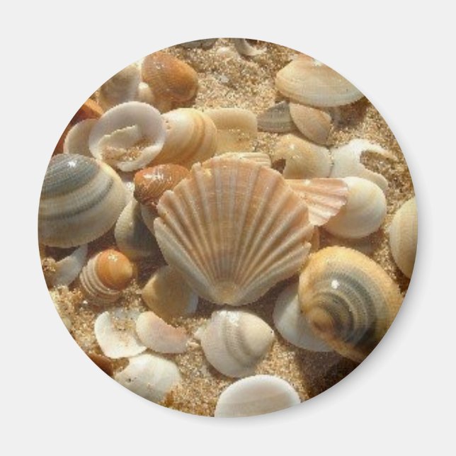 Persika Snäckor, magnet (Framsidan)