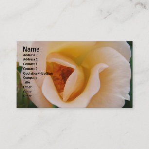 Persikafärgaden steg visitkort