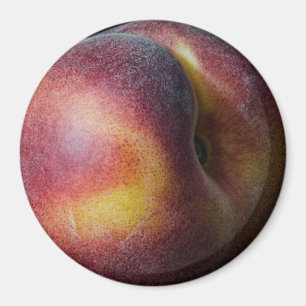 Persikamagnet Magnet