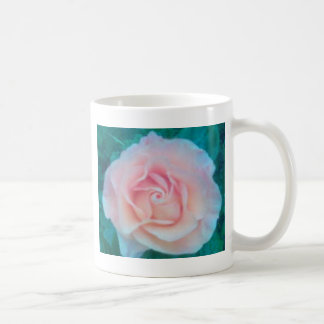 persikan steg kaffemugg