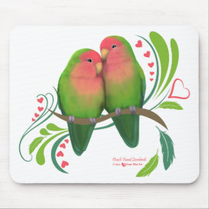 Persikan vände mot love birds musmatta