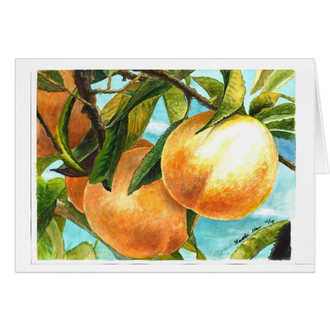 Persikaredo som ska plockas hälsningskort (Framsidan Horizontal)