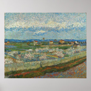 Persiketräd i blomning av Van Gogh Poster