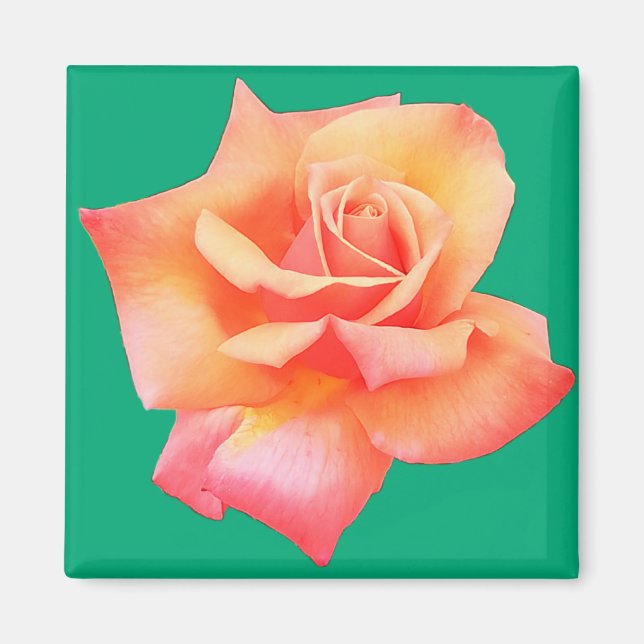 Persikoblomma Magnet (Framsidan)