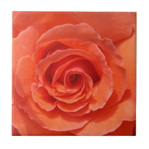 Persikofärgad fotoplatta av keramiskt ro