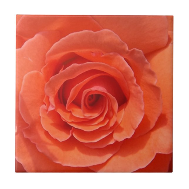 Persikofärgad fotoplatta av keramiskt ro kakelplatta (Framsidan)