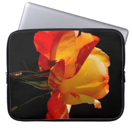 Persikofärgad Ros Laptop Fodral