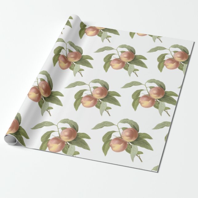 Persikomposition Presentpapper (Utrullad)