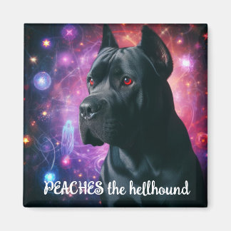 Persikor i Hellhound Magnet