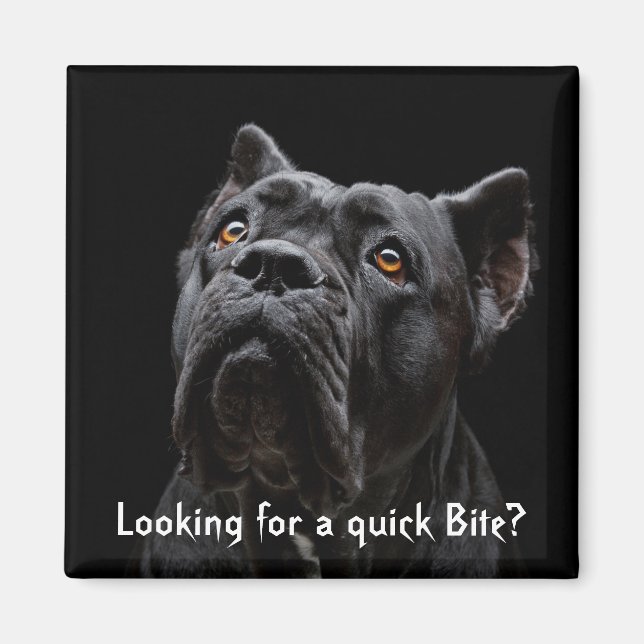 Persikor Magnet (Framsidan)