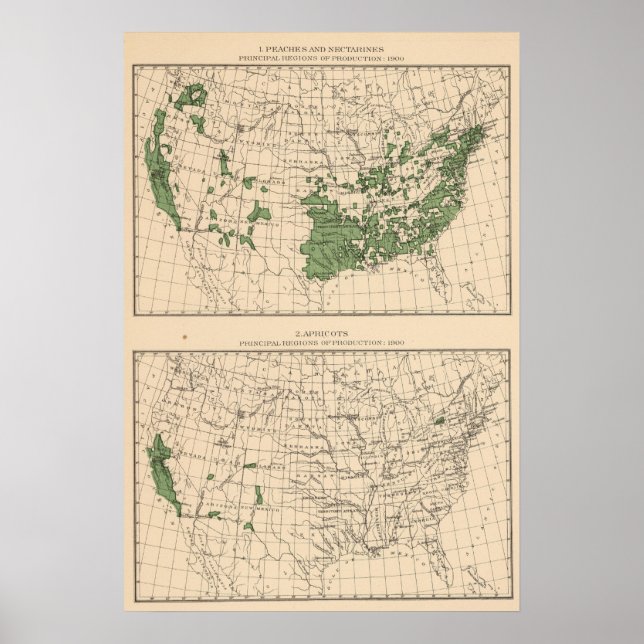 Persikor, nektariner, aprikoser poster (Framsidan)