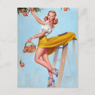 Persikor PIN Up Vykort
