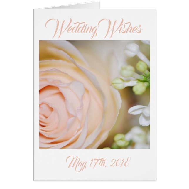 Persikor Ro och lilacs Hälsningskort (Framsidan)