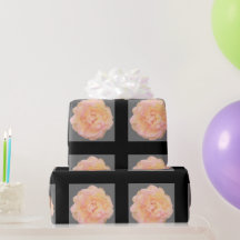 Persikorange Rosa Gul Rosdesign på Svart Bakgrund