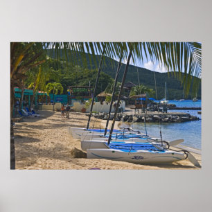 Persikosida vid Leverick Bay Resort & Marina. Poster