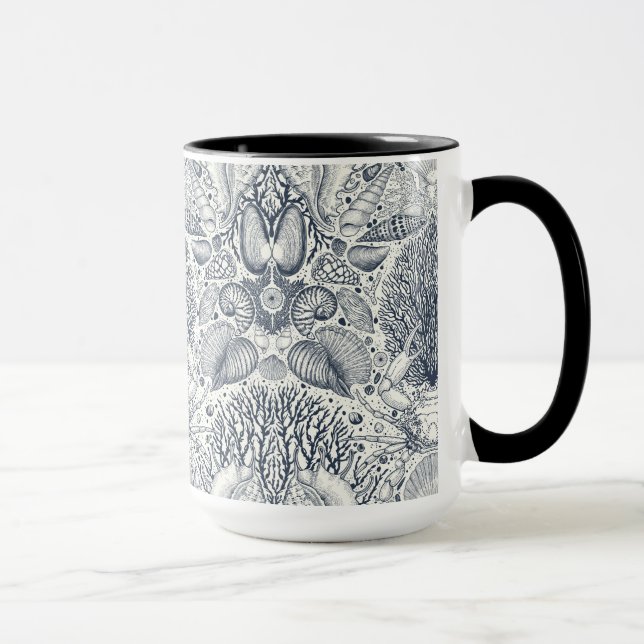 Persikoskatter, siashells, krabba, koraller och al mugg (Höger)