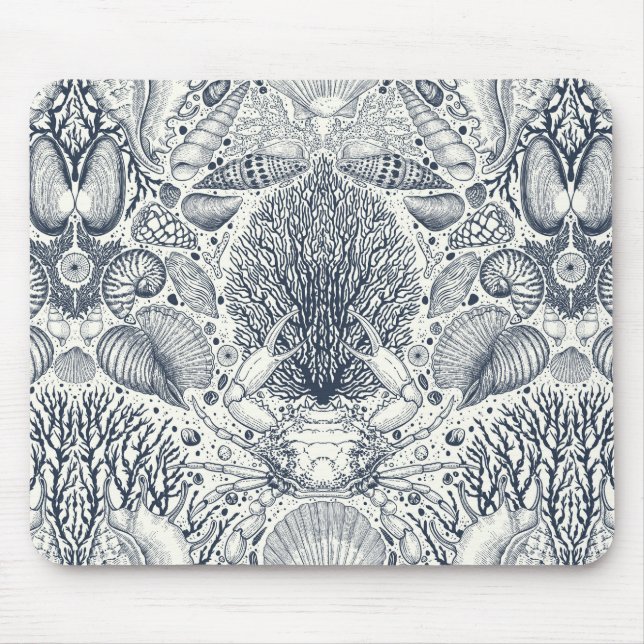 Persikoskatter, siashells, krabba, koraller och al musmatta (Framsidan)