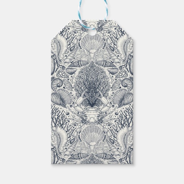 Persikoskatter, siashells, krabba, koraller och al presentetikett (Framsidan)