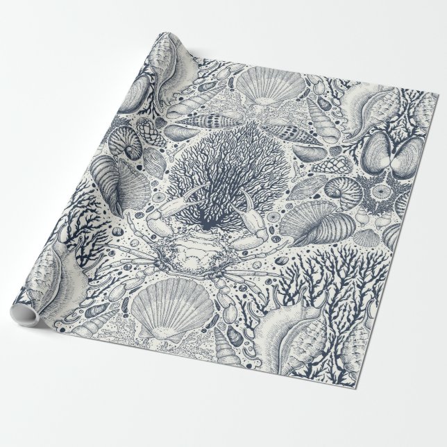 Persikoskatter, siashells, krabba, koraller och al presentpapper (Utrullad)