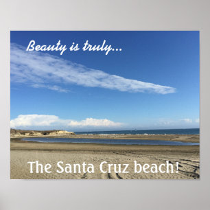 Persikovy vid Santa Cruz Boardwald Poster