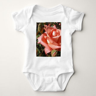 Persikrosa ros tee