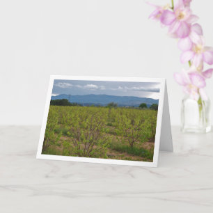 Persimmon Träd och Mountain Landscape Card Kort