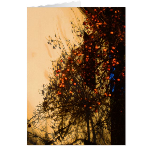 Persimmons Hälsningskort (Framsidan)