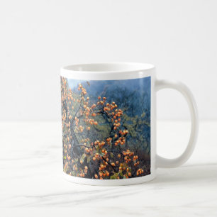Persimmonsträd, nedgång kaffemugg