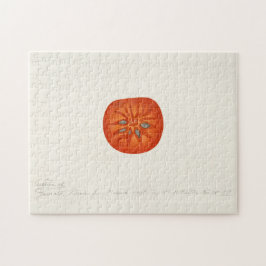 Persimon (Diospyros) - Färgmålning på frukt Pussel