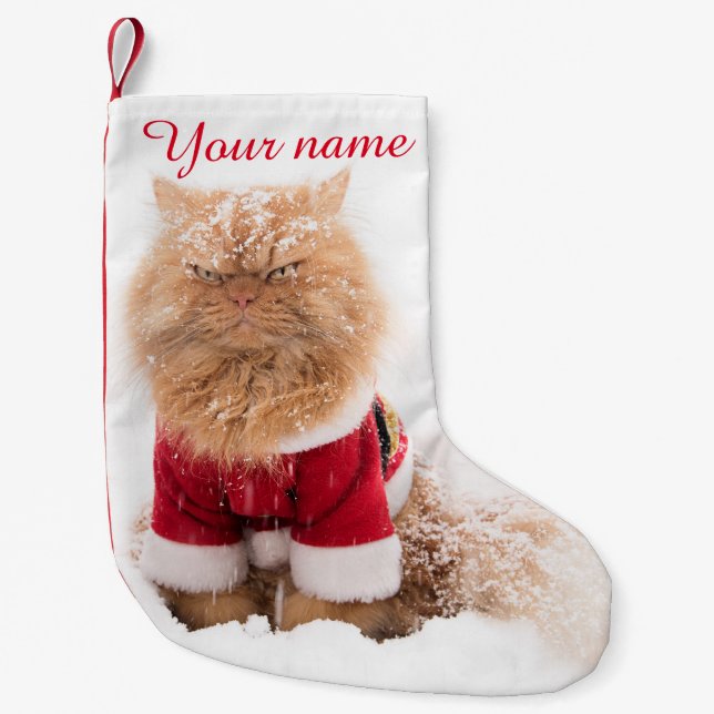 Persisk katt med julutrustning i snö liten julstrumpa (Framsidan)