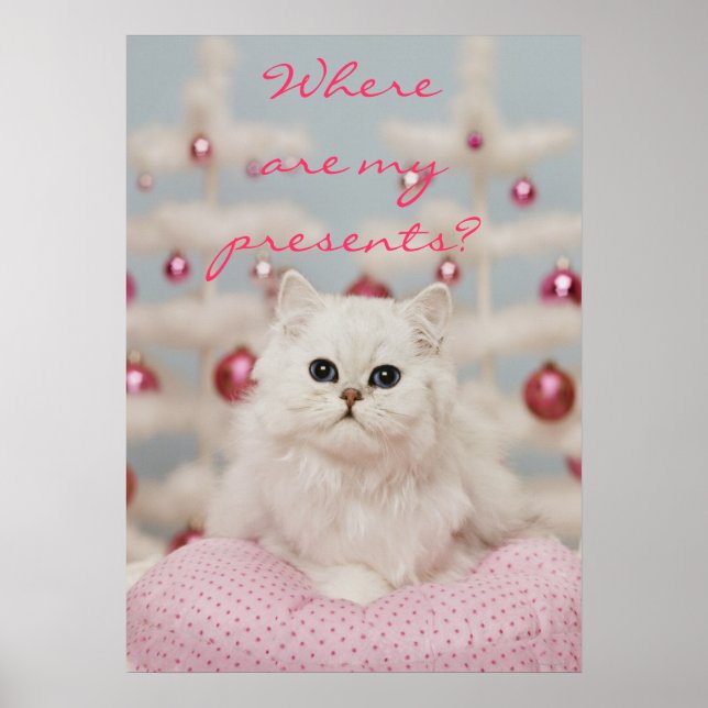 Persisk katt sitta vid rosa kudde poster (Framsidan)