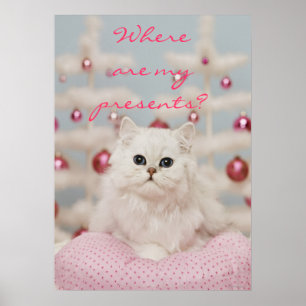 Persisk katt sitta vid rosa kudde poster