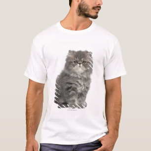 Persisk sitta för kattunge (2 gammala månader) t shirt