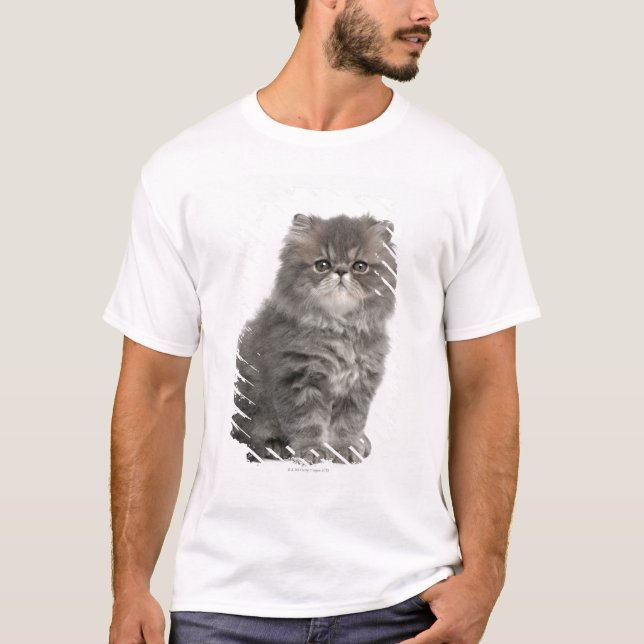 Persisk sitta för kattunge (2 gammala månader) t shirt (Framsida)