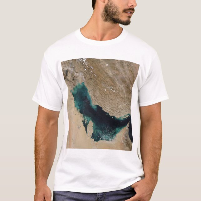 Persiska Bukt Tee Shirt (Framsida)