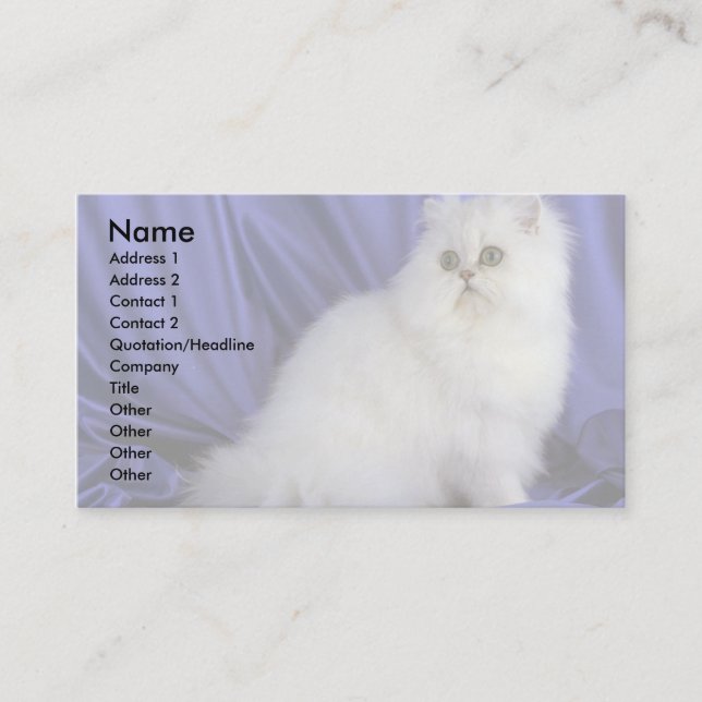 Persiska, chinchilla visitkort (Framsida)