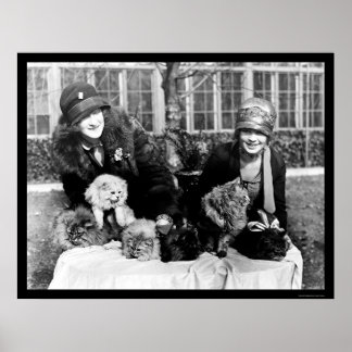 Persiska katter och amerikanska Dam 1924 Poster