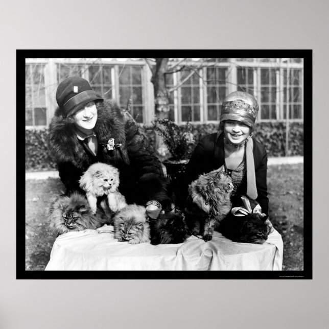 Persiska katter och amerikanska Dam 1924 Poster (Framsidan)