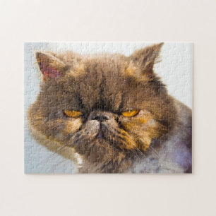 Persiska katter. pussel
