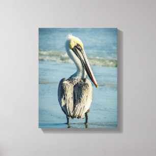 Persiska på en Florida Beach Canvastryck