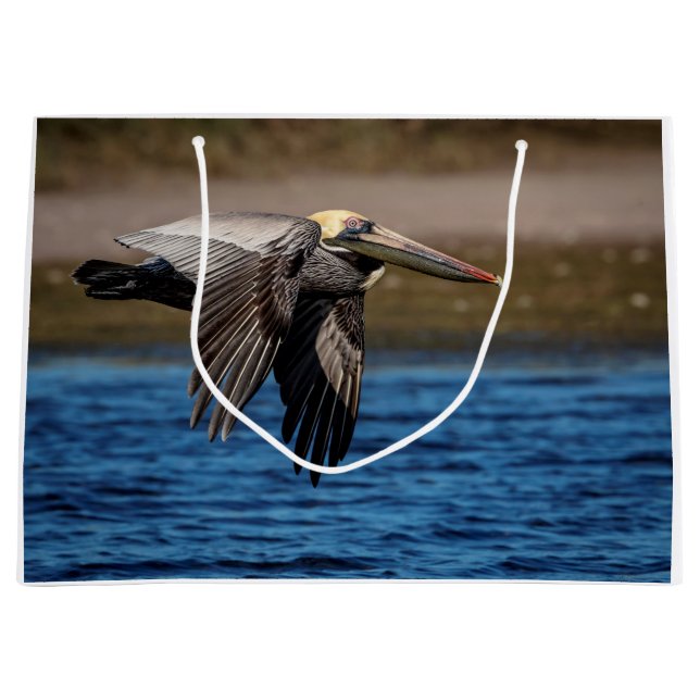 Persiska under flygning (Framsidan)