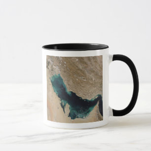 Persiska viken mugg