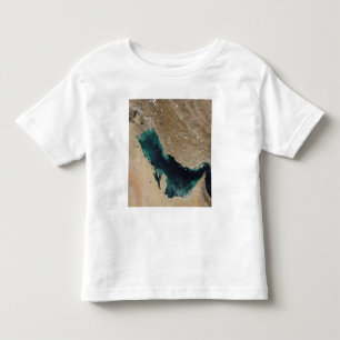 Persiska viken tee shirt